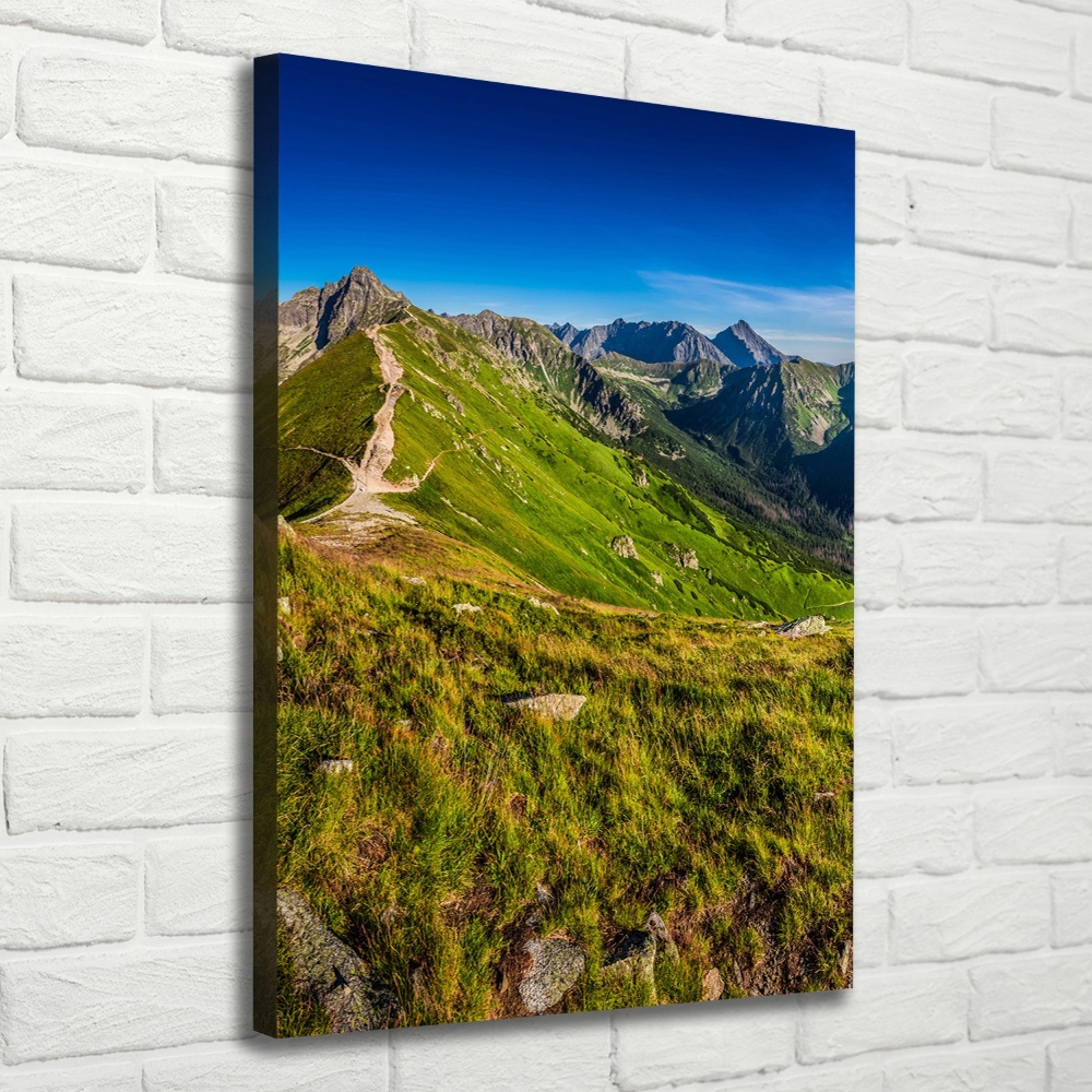 Foto obraz drukowany na płótnie pionowy Tatry