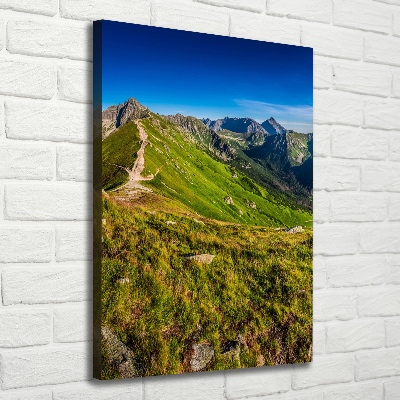 Foto obraz drukowany na płótnie pionowy Tatry