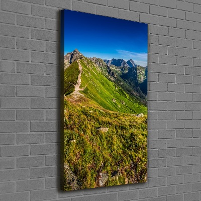 Foto obraz drukowany na płótnie pionowy Tatry