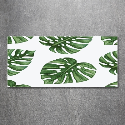 Foto obraz szkło hartowane Monstera