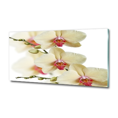 Foto obraz szkło hartowane Orchidea