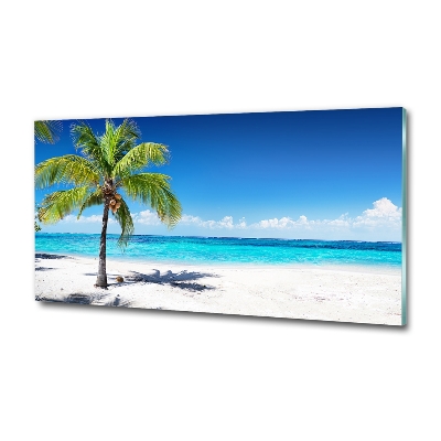 Foto obraz szklany Tropikalna plaża