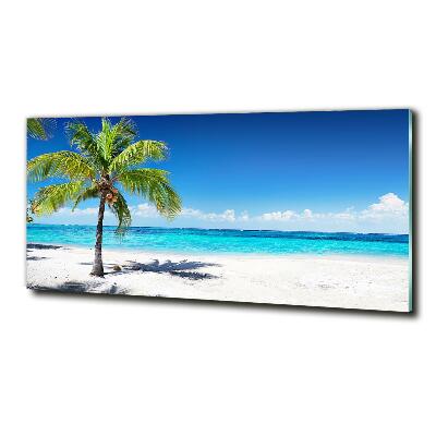 Foto obraz szklany Tropikalna plaża