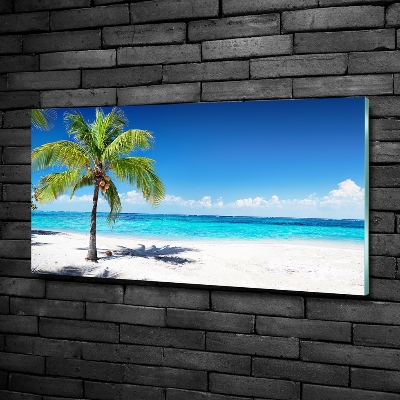 Foto obraz szklany Tropikalna plaża