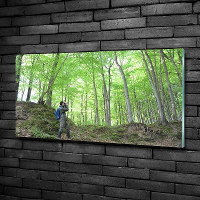 Foto-obraz szklany Ornitolog w lesie