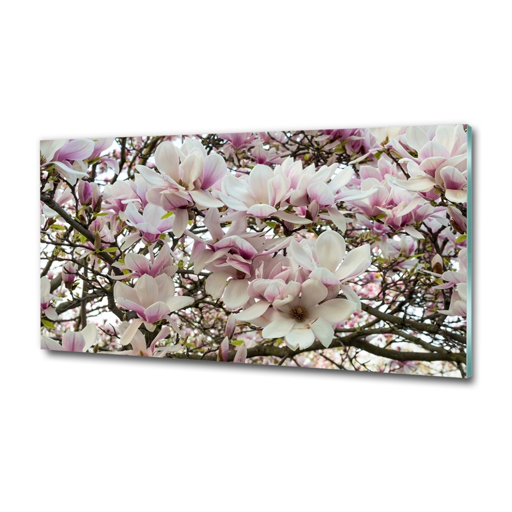 Fotoobraz na ścianę szklany Kwiaty magnolii