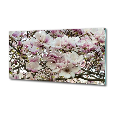 Fotoobraz na ścianę szklany Kwiaty magnolii