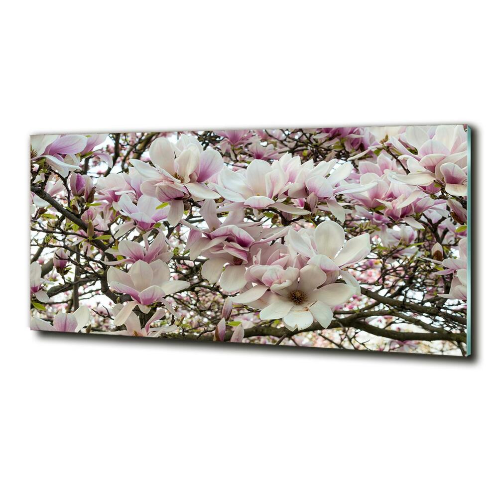 Fotoobraz na ścianę szklany Kwiaty magnolii