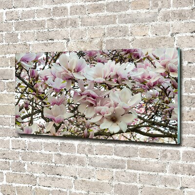 Fotoobraz na ścianę szklany Kwiaty magnolii