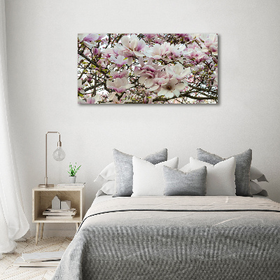 Fotoobraz na ścianę szklany Kwiaty magnolii