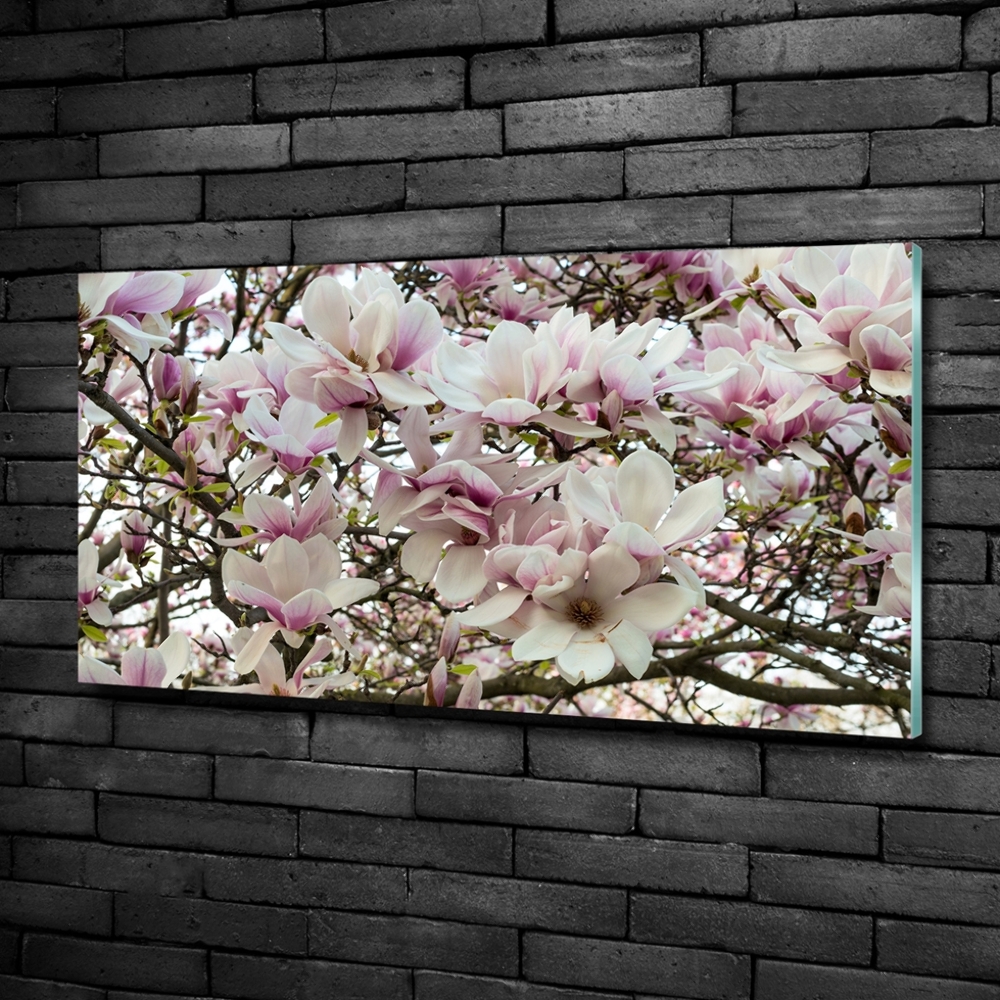 Fotoobraz na ścianę szklany Kwiaty magnolii