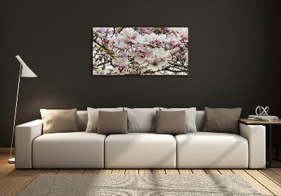 Fotoobraz na ścianę szklany Kwiaty magnolii