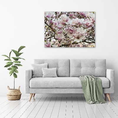 Fotoobraz na ścianę szklany Kwiaty magnolii