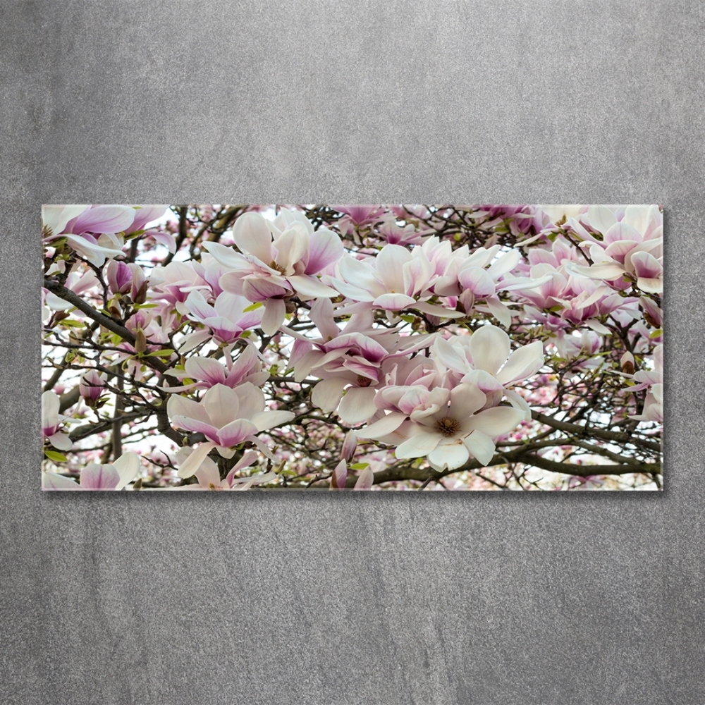 Fotoobraz na ścianę szklany Kwiaty magnolii