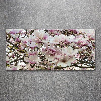 Fotoobraz na ścianę szklany Kwiaty magnolii