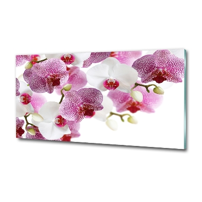 Foto obraz szkło hartowane Orchidea