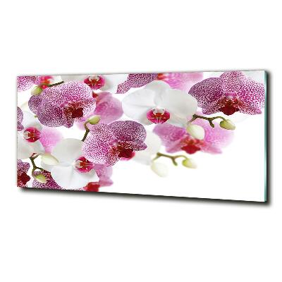 Foto obraz szkło hartowane Orchidea