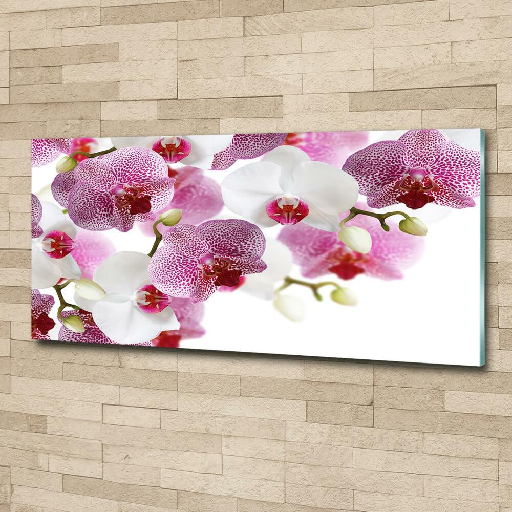 Foto obraz szkło hartowane Orchidea