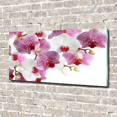 Foto obraz szkło hartowane Orchidea