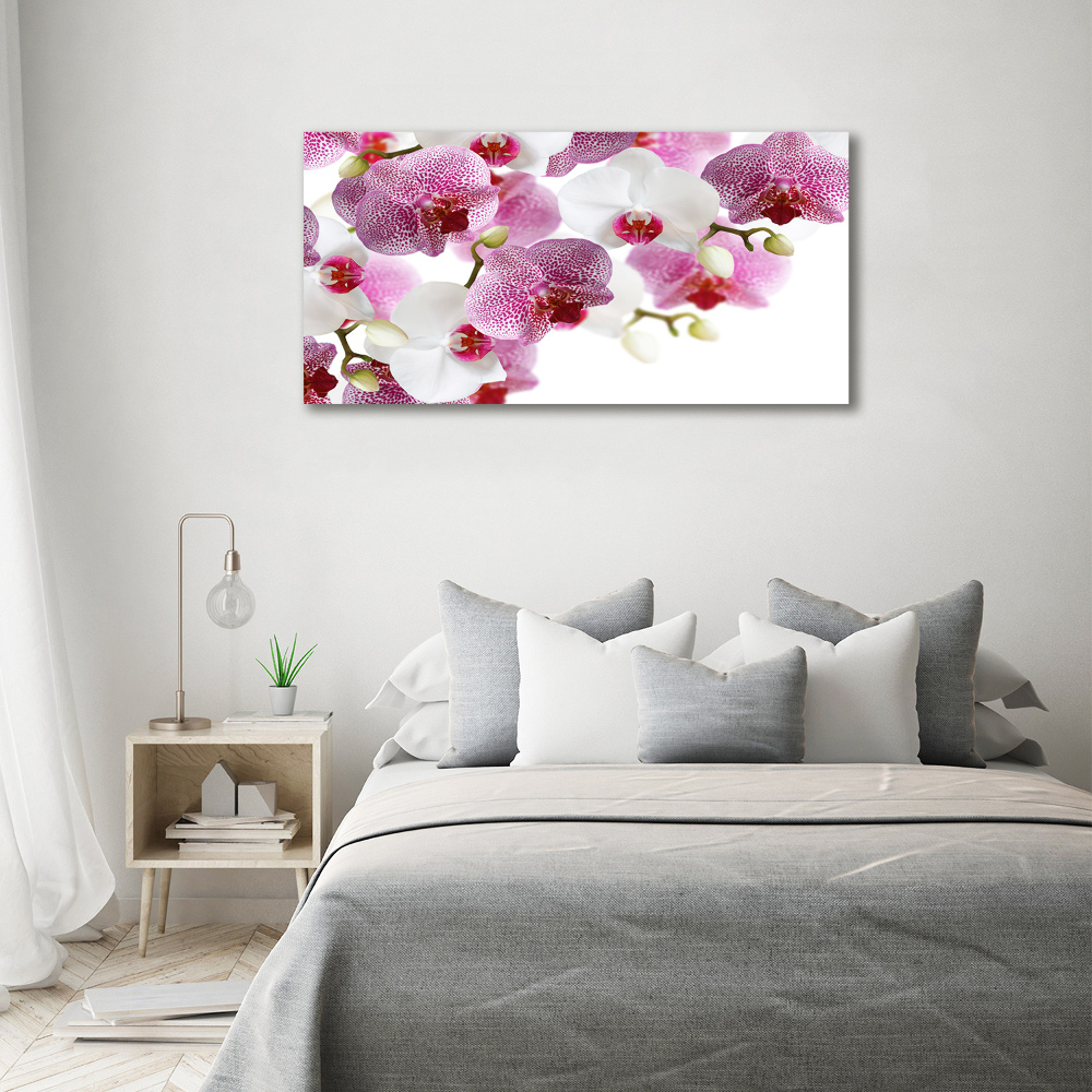 Foto obraz szkło hartowane Orchidea