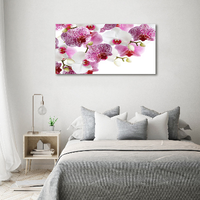 Foto obraz szkło hartowane Orchidea