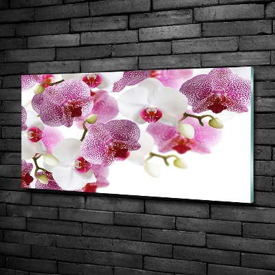 Foto obraz szkło hartowane Orchidea