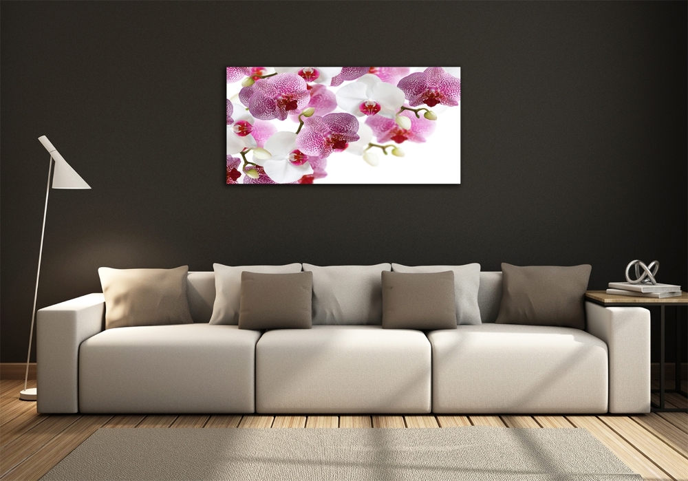 Foto obraz szkło hartowane Orchidea