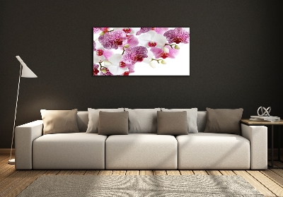 Foto obraz szkło hartowane Orchidea