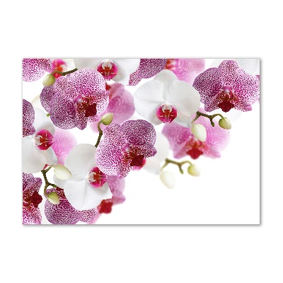 Foto obraz szkło hartowane Orchidea