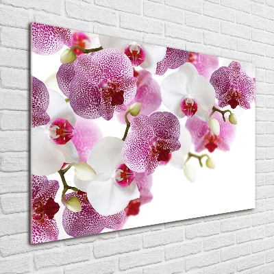 Foto obraz szkło hartowane Orchidea