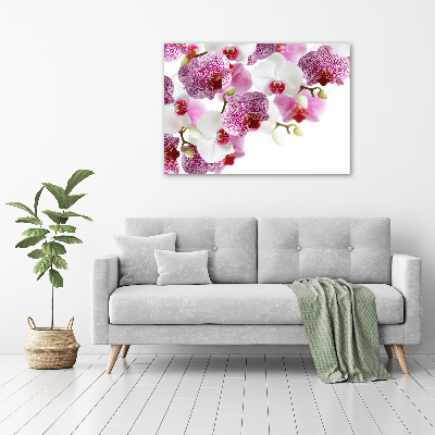 Foto obraz szkło hartowane Orchidea