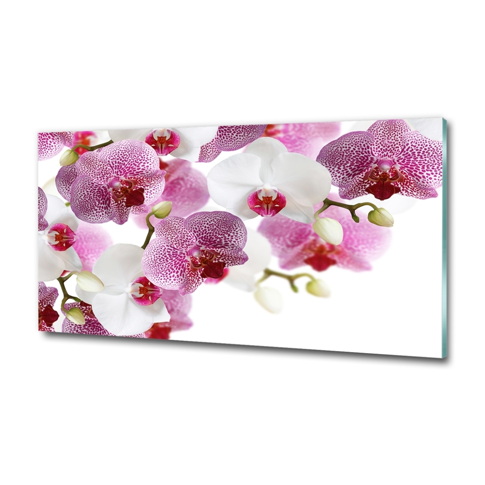 Foto obraz szkło hartowane Orchidea