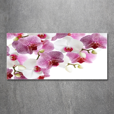 Foto obraz szkło hartowane Orchidea