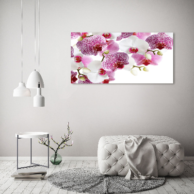 Foto obraz szkło hartowane Orchidea