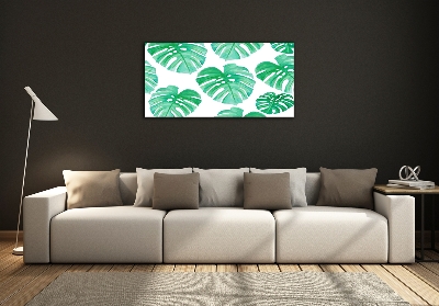 Foto obraz szkło hartowane Monstera