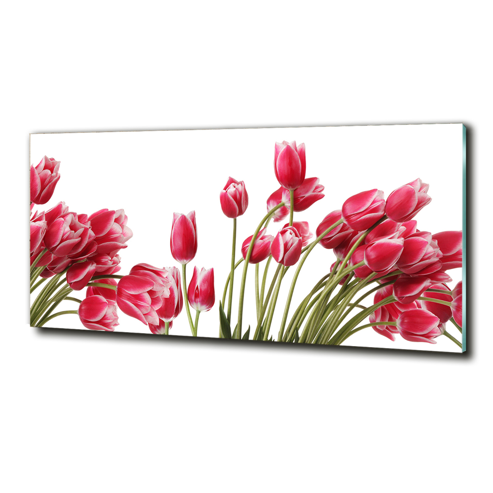 Foto obraz szklany Czerwone tulipany
