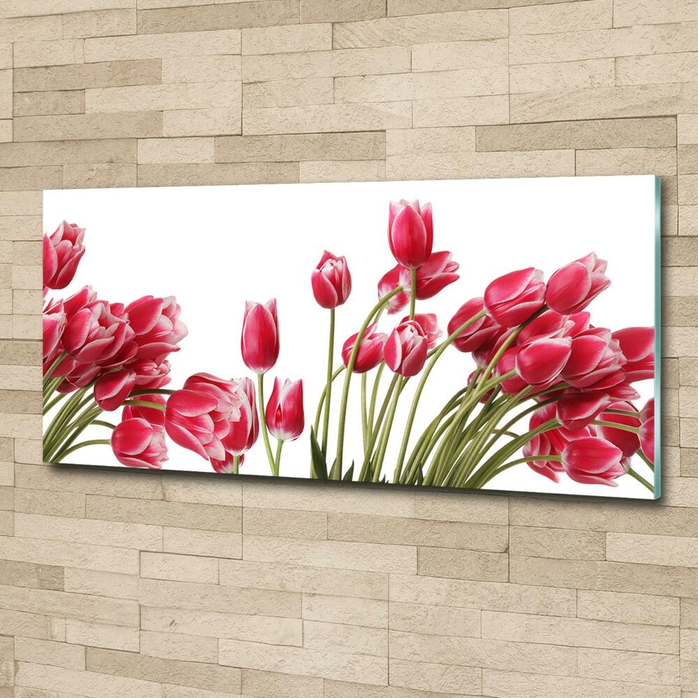 Foto obraz szklany Czerwone tulipany
