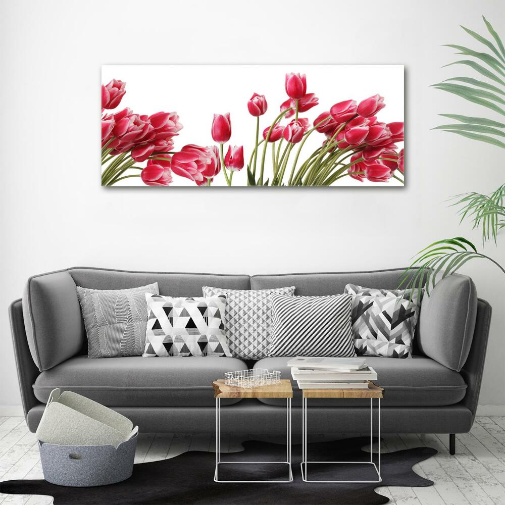 Foto obraz szklany Czerwone tulipany