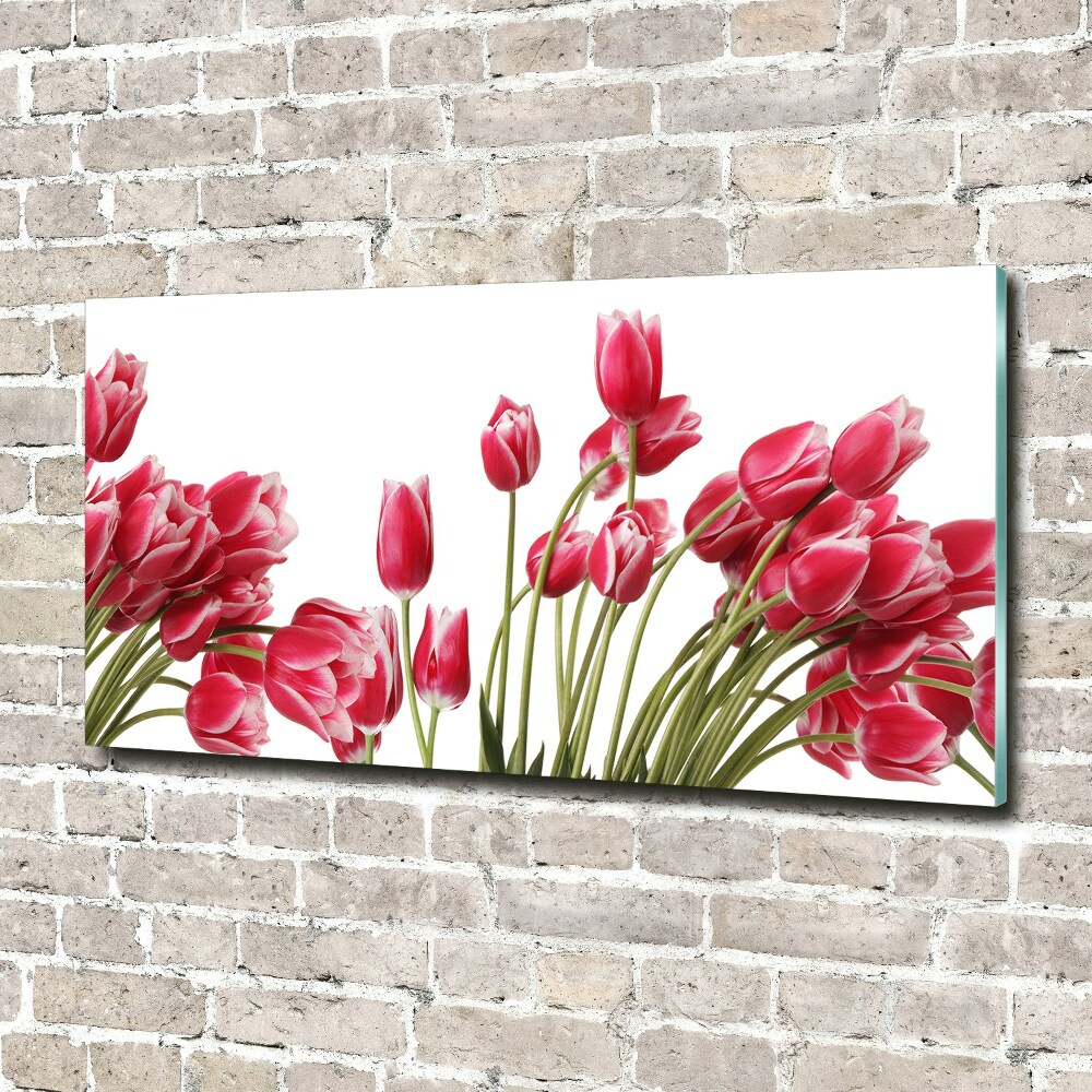 Foto obraz szklany Czerwone tulipany