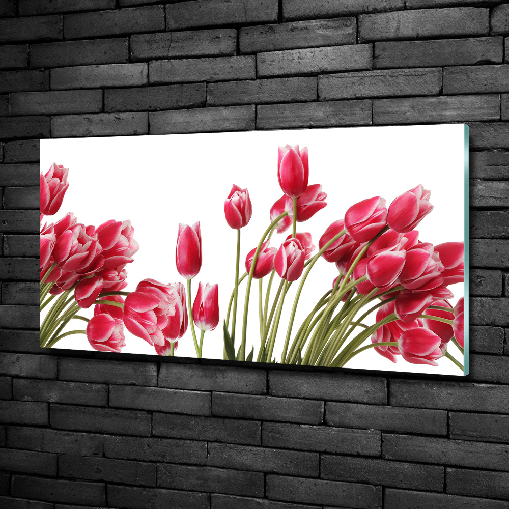 Foto obraz szklany Czerwone tulipany