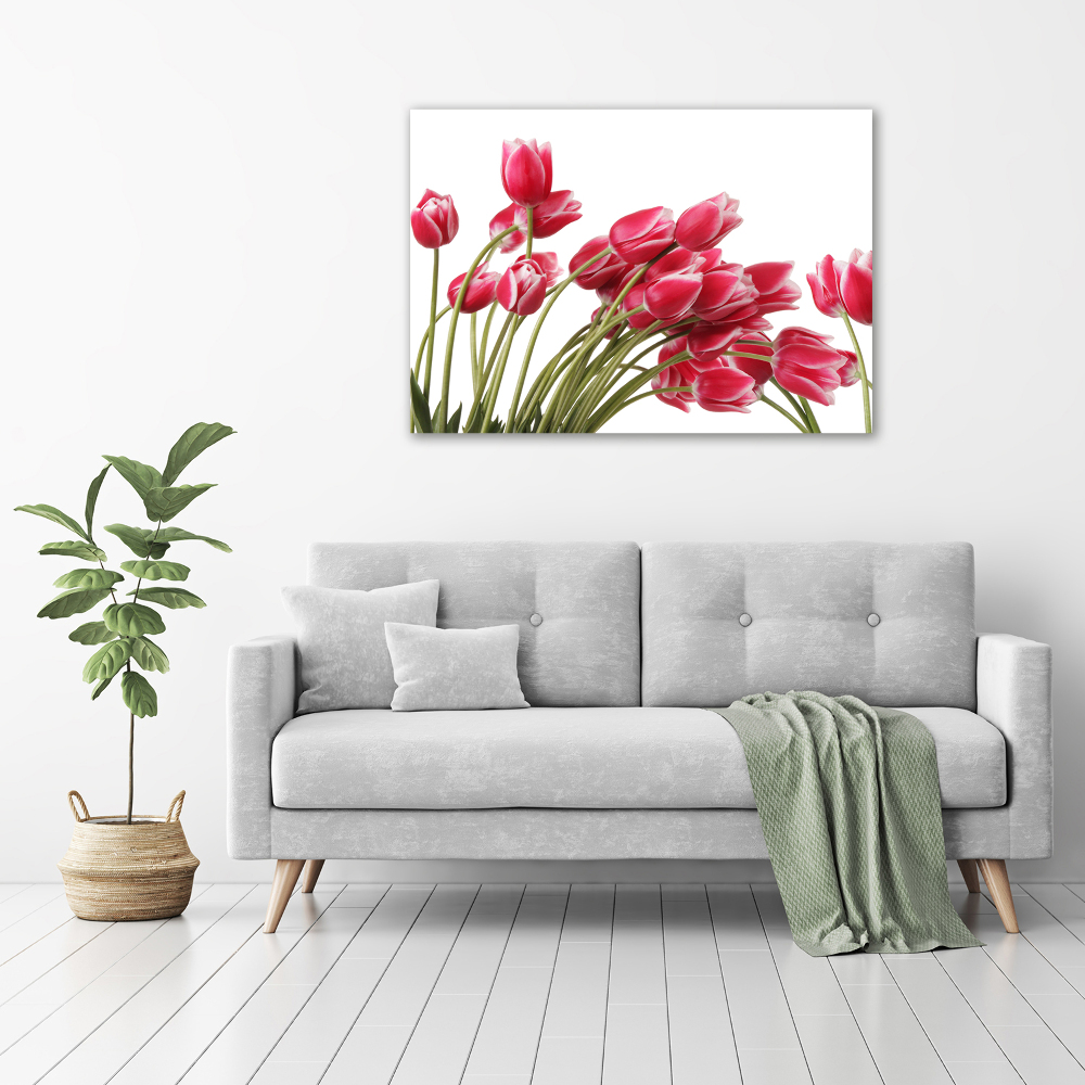 Foto obraz szklany Czerwone tulipany