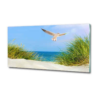 Foto obraz szkło hartowane Mewa na plaży