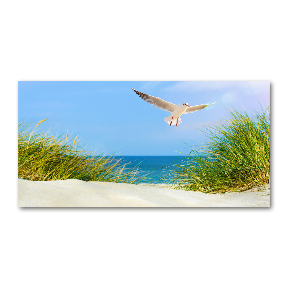 Foto obraz szkło hartowane Mewa na plaży