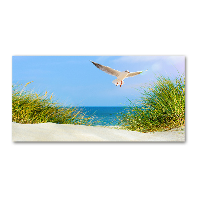 Foto obraz szkło hartowane Mewa na plaży