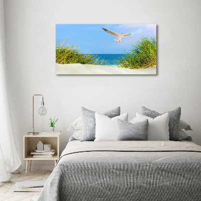 Foto obraz szkło hartowane Mewa na plaży