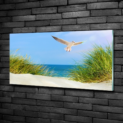 Foto obraz szkło hartowane Mewa na plaży