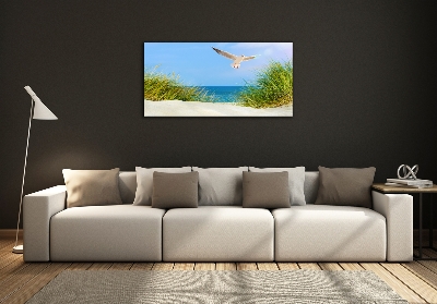Foto obraz szkło hartowane Mewa na plaży