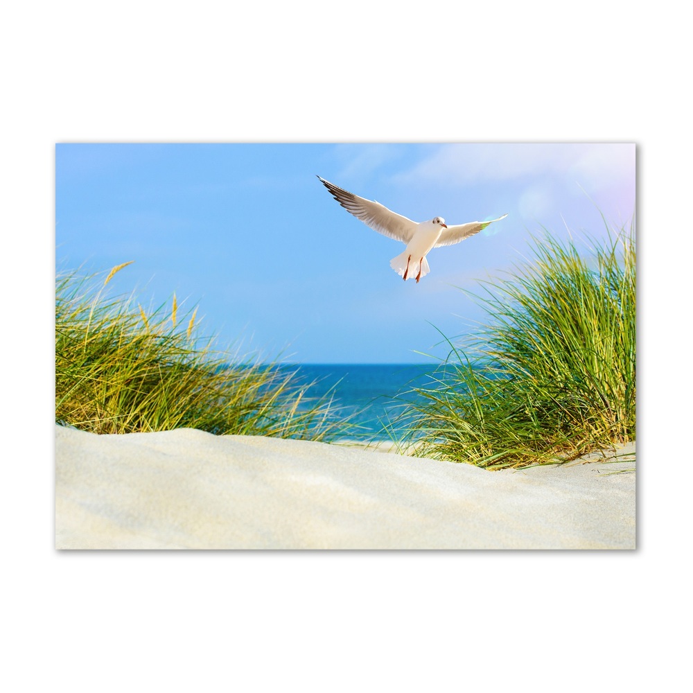 Foto obraz szkło hartowane Mewa na plaży