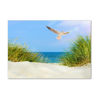 Foto obraz szkło hartowane Mewa na plaży