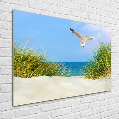 Foto obraz szkło hartowane Mewa na plaży